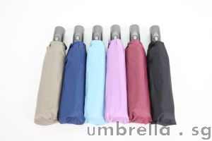 Umbrella Label UV Auto Open Close Umbrella