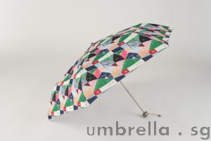 Estaa Keshiki Abstract Umbrella