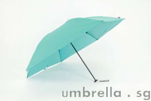 Umbrella Label UV Coated Lightweight 
