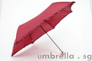 Plain Colour Folding Umbrella with Tote Casing
